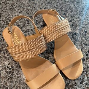 Italian Shoemakers block Heels women’s sandals buckle-gold strap Like New✨ITALY